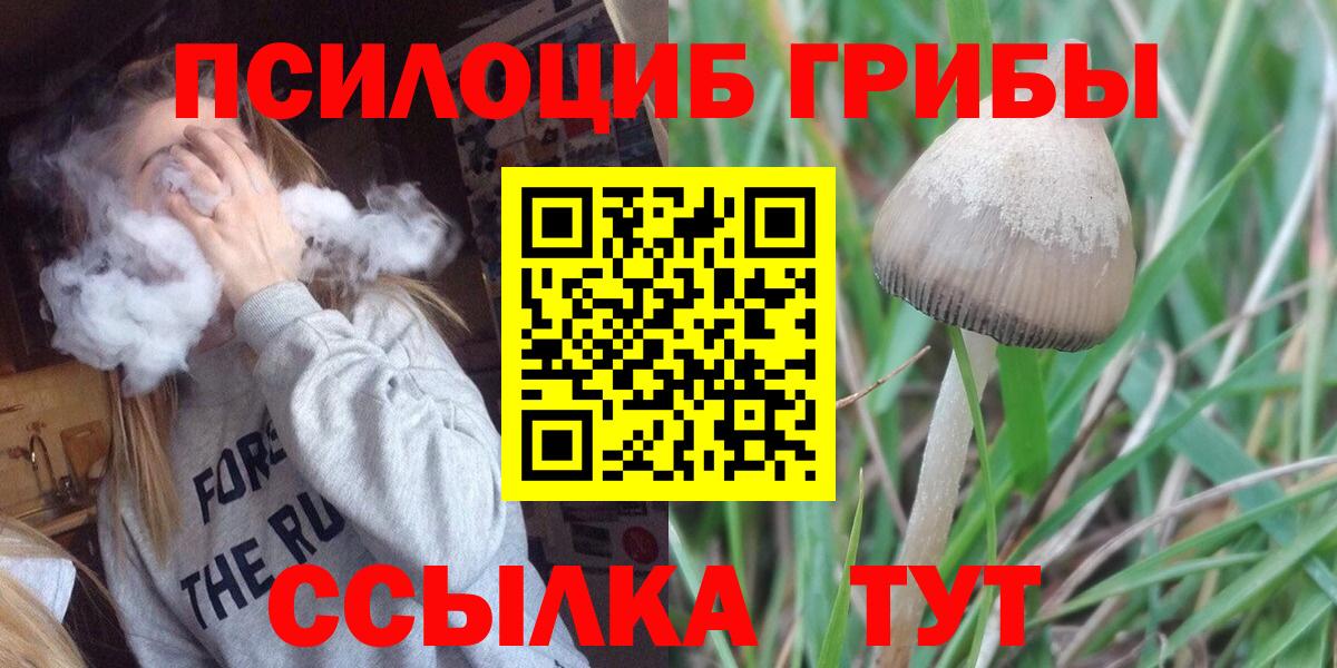 Псилоцибиновые грибы Magic Shrooms  Галлюциногенные грибы Psilocybe  Вход с VPN  Северск 